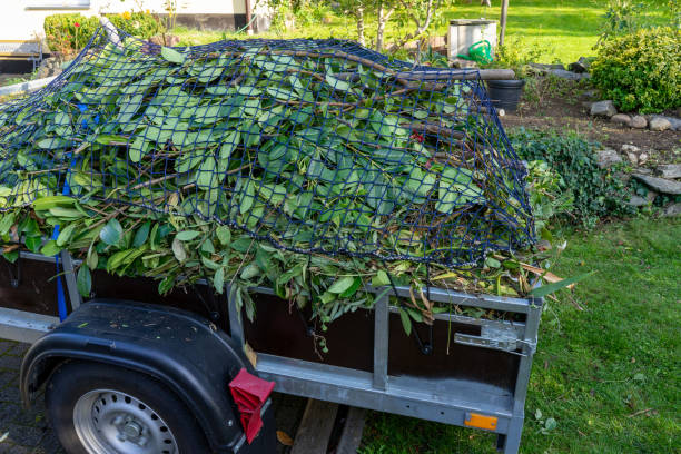 Best Carpet Removal and Disposal  in Cedar Springs, MI